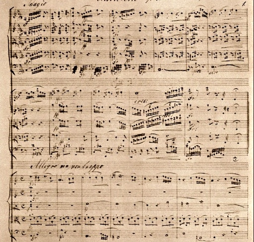 Smyčcový kvintet, op. 1
